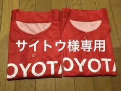 Item thumbnail for item 07fb6ce7-588e-4fd3-82ed-70f65656e1b0