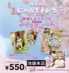 池袋本店】猫カフェmocha 2026春トレカ - メルカリ