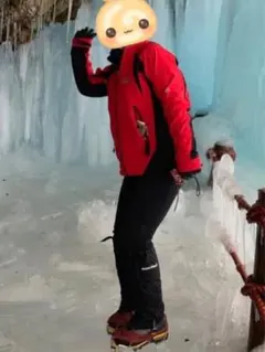 年末値下★THE NORTH FACE ウィンドストッパー ジャケット