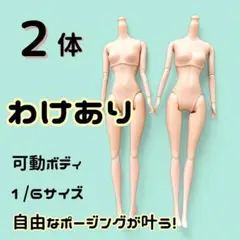 【2体セット！】ドール素体 可動ボディ 球体関節 BJD オビツ