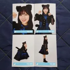 日向坂46 河田陽菜「2024年 ハロウィン衣装」4種コンプのサムネイル