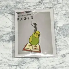 SexyZone 2019 PAGES チャーム【未使用品】最終お値下げ