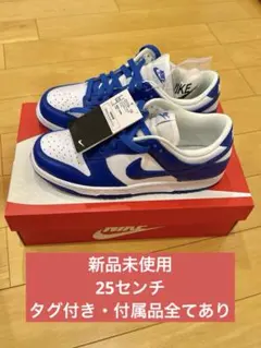 2026年最新】Nike Dunk Low SP kentuckyの人気アイテム - メルカリ