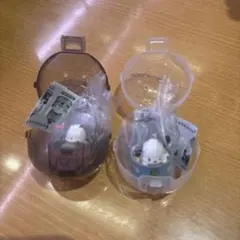 カンキャラ　ニャニィニュニェニョン　ポチャッコ