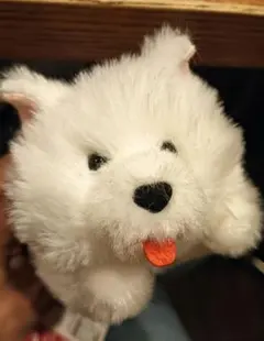 【タイムセール】サモエドくん　ねそべり　ぬいぐるみ