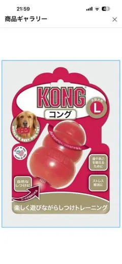 KONG コング Lサイズ & ペーストのセットのサムネイル