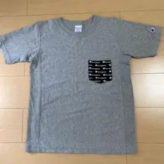 チャンピオン　レディースTシャツ　Mのサムネイル