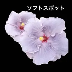 msamy様 リクエスト 2点 まとめ商品