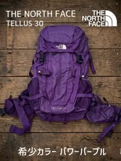 【希少カラー美品】ノースフェイス テルス30 パワーパープル L 廃盤FS686