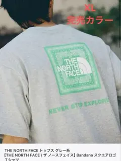 【美品】ノースフェイス バンダナ スクエアロゴ TシャツNT32349