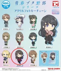 トイズキャビン★青春ブタ野郎シリーズ☆アクリルフォトキーチェーン【広川卯月】