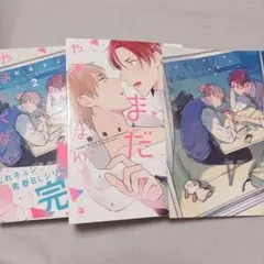 Item thumbnail for item b37c52b8-763c-48bc-9ed3-7a82821086a6