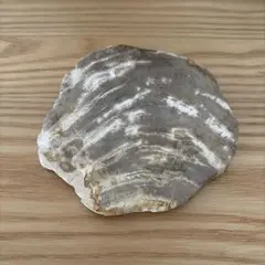 amabro WOOD COASTER