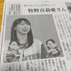 牧野真莉愛　切り抜き　新聞　記事　日ハム　日本ハム　モーニング娘。　北海道新聞