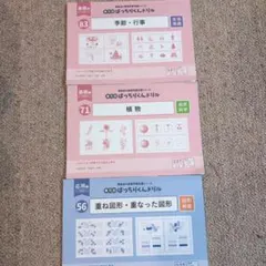 理英会のばっちりくんドリル 21冊まとめ買い 単元別ばっちりくんドリル 基礎編セット｜小学校受験 合格対策