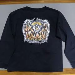 Item thumbnail for item 1010bfe5-c78b-47b9-a4a7-d46ae7b1fcde