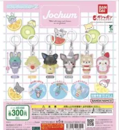 バンダイ JOCHUMめじるしアクセサリー2 全6種コンプリート