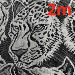 Item thumbnail for item fd1e694d-328a-4120-97e7-f130478d3c64