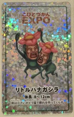 こびとづかん　チェンジングカード　３Ｄカード 美品 こびとづかんカード 全20種コンプリート 3Dチェンジング