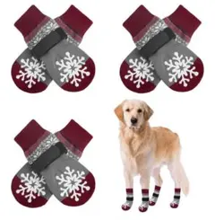 Item thumbnail for item ca1c8a66-767f-4cce-9fd0-aabc667f4ba6