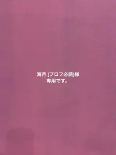 海月 [プロフ必読]様 リクエスト 4点 まとめ商品
