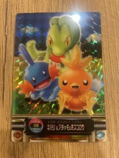 ポケモンずかんカード キモリ&アチャモ&ミズゴロウ 2026年最新