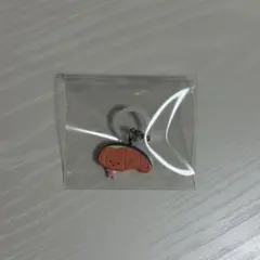 サンリオ キャラクターズ めじるしアクセサリー KIRIMIちゃん