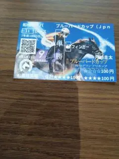 ブルーハードカップ 単勝券 フィンガー