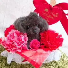 ♡Y様♡専用ページ