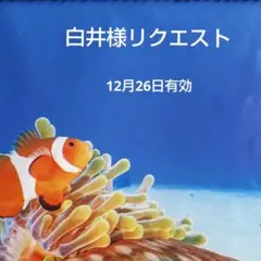 白井様 リクエスト 2点 まとめ商品