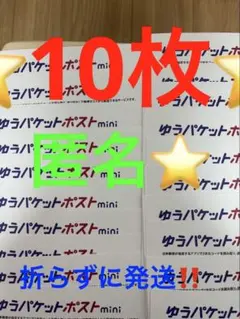 ゆうパケットポストmini 専用封筒 10枚セットその64