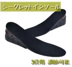 3段階 調節可能 黒 シークレット インソール エアクッション 中敷きのサムネイル