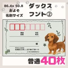 NEW【ダックスフント②】宛名シール　差出人シール　普通サイズ　40枚　動物　犬