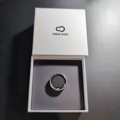 Item thumbnail for item 6785a1c3-6989-45a9-bbe1-3c60a7523bda