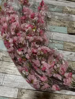 Item thumbnail for item ee5843cd-bffa-4499-8a2a-32dafdc7c60d