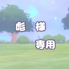彪様　専用