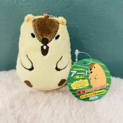 マーモットのもっとっと 絶叫ぬいぐるみMC