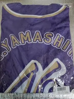 Item thumbnail for item 3eb9abb1-35af-4540-be39-043d4eff3fdb