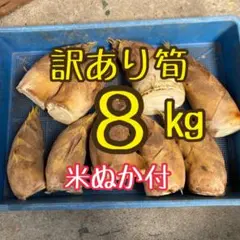 13時〆切 9日発送 激安 掘りたてたけのこ17㎏ ぬか付 静岡県産 - メルカリ