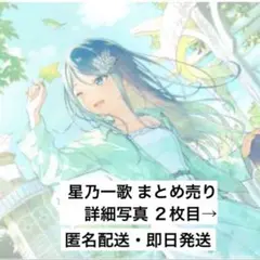 プロセカ 星乃一歌 まとめ売り 全28点 【匿名配送・即日発送】