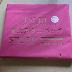 Item thumbnail for item 6a462f6c-c619-40fb-8f67-482e9eaf0a05