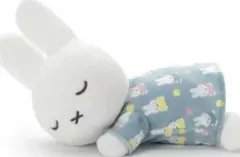 ミッフィー　すやすやフレンド　ぬいぐるみ　S オータムカラー　ブルー