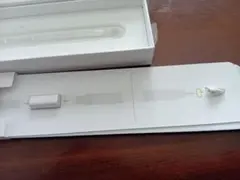 Apple Pencil ペン先のみ 先っちょだけ