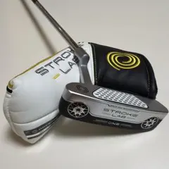 2026年最新】オデッセイ ストロークラボ 左の人気アイテム - メルカリ