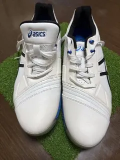 2026年最新】asics ゴルフ シューズ(男性用)の人気アイテム - メルカリ