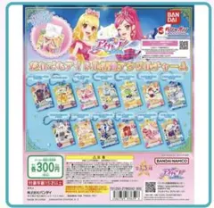 だれでもアイドル活動アクリルチャーム 2点セット