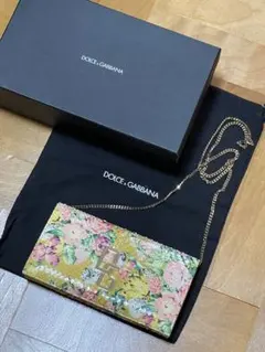 DOLCE&GABBANA パイソン チェーン ショルダーバッグ クラッチバッグのサムネイル