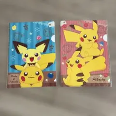 ポケモンファイル　２枚組