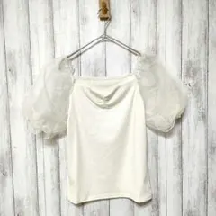 allamanda アラマンダ　(M)　袖異素材 リブトップス　シアースリーブ