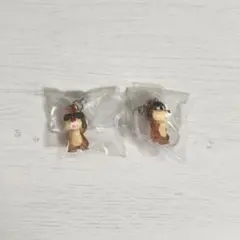 めじるしアクセサリー SUMMER ディズニー チップ デール